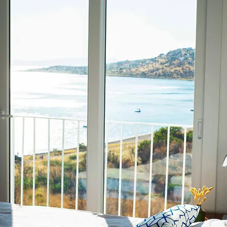 Conti Erenler (Sakarya)