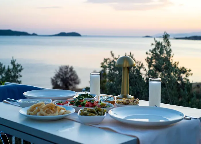 Проживание в семье Conti Erenler (Sakarya)