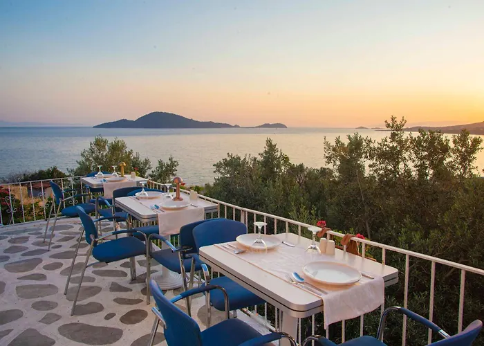 Проживание в семье Conti *