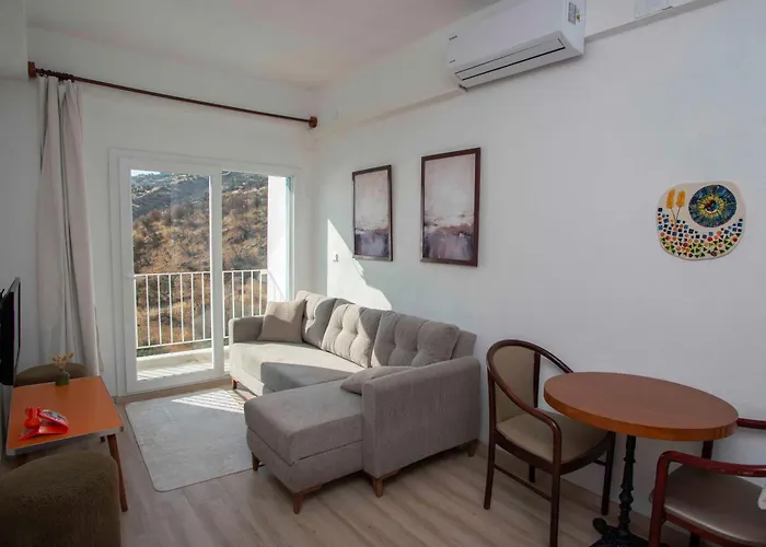 Conti Проживание в семье