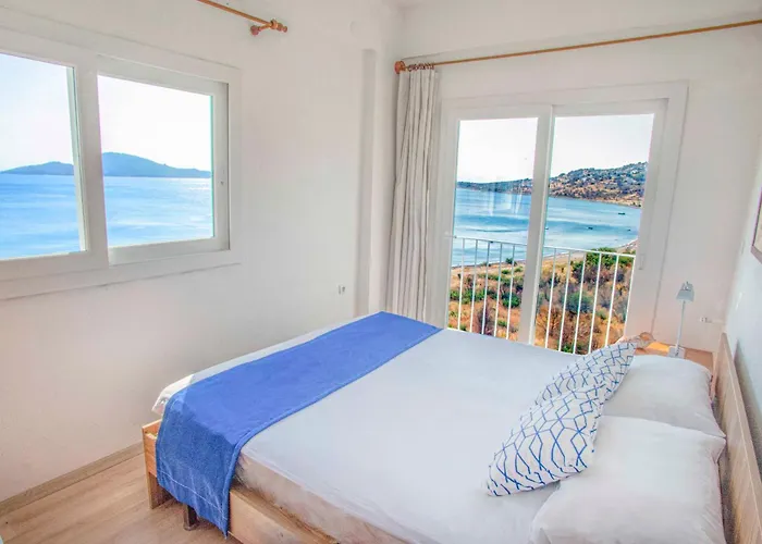 Conti Проживание в семье