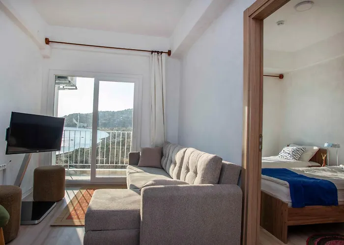 Conti Проживание в семье *