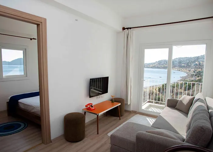 Проживание в семье Conti Erenler (Sakarya)