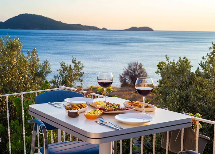 Проживание в семье Conti *