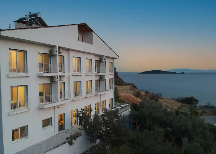 Проживание в семье Conti Erenler (Sakarya)