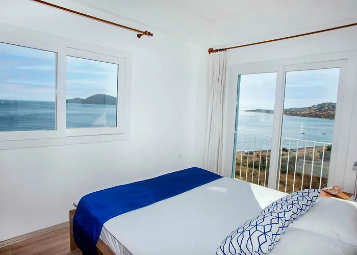 Conti Erenler (Sakarya)