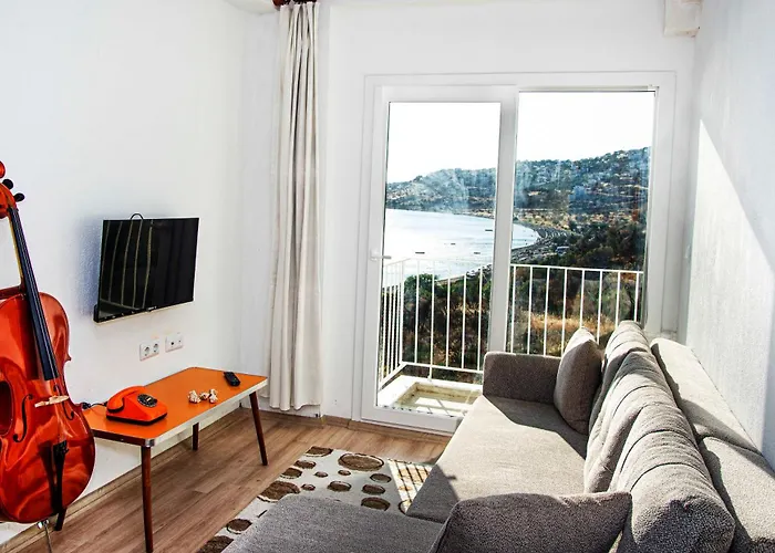 Conti Проживание в семье