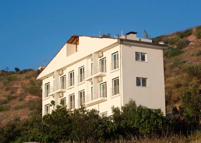 Проживание в семье Conti *