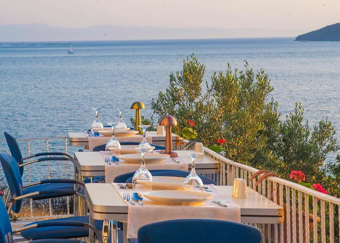 Проживание в семье Conti Erenler (Sakarya)