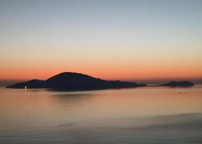 Conti * Erenler (Sakarya)